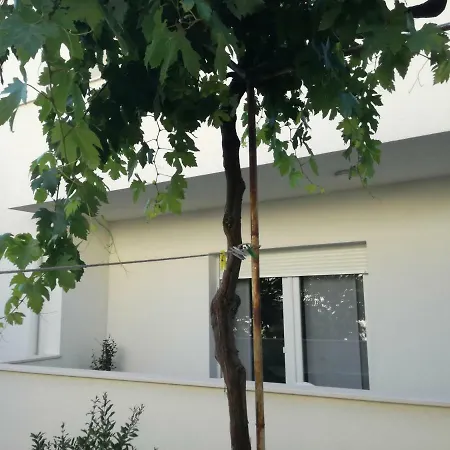 Drosanjica Zadar