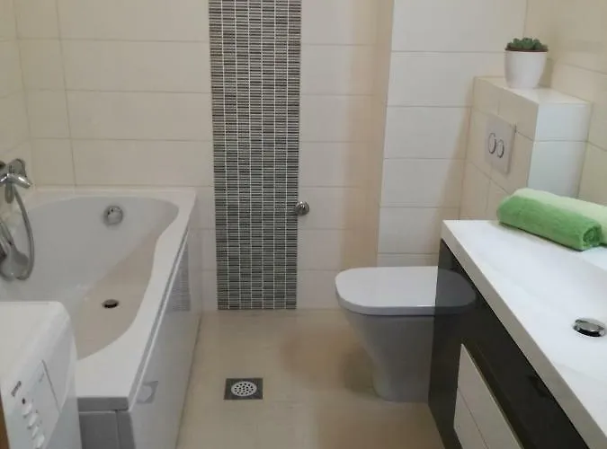 Apartment Drosanjica *