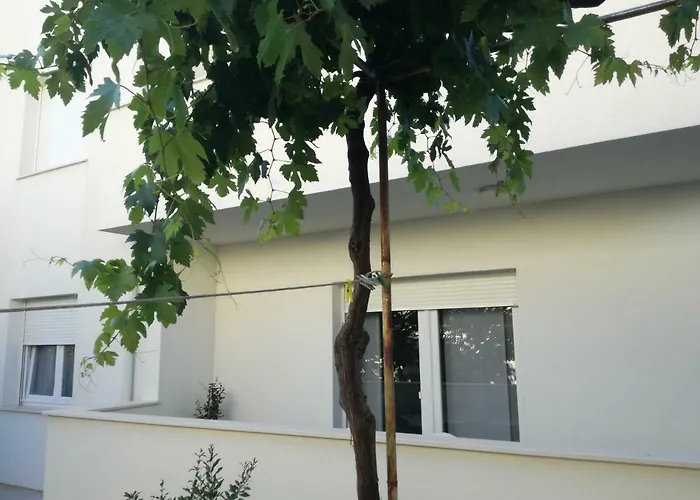 Drosanjica Zadar